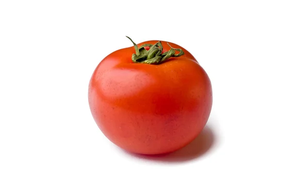 stock image Tomato