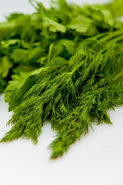 stock image Dill and parsley