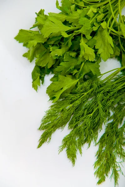 stock image Dill and parsley