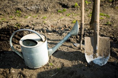 Stock in kitchen garden clipart