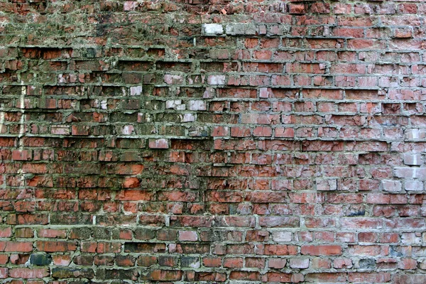 stock image Old wall