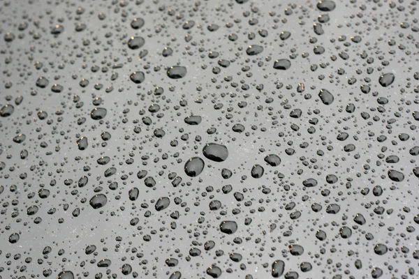 stock image Water drops