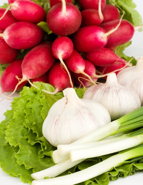 Jarní cibulky, česnek, salát a radis — Stock fotografie