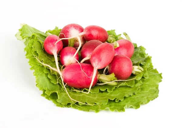 A few radishes on lettuce — Stock Photo, Image