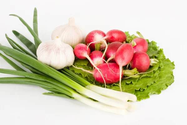 Jarní cibulky, česnek, salát a radis — Stock fotografie