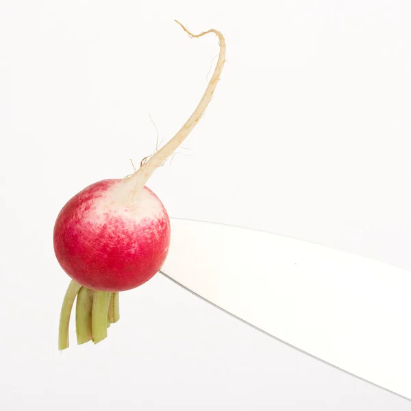 stock image Radish on knife edge