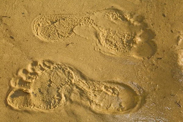 stock image Footprints on sand