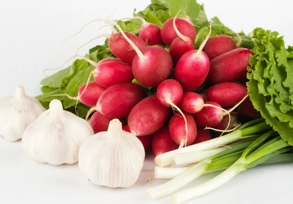 Fresh radish bunch — Stock Photo, Image