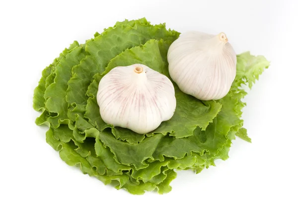 Garlic on lettuce — Stock Photo, Image