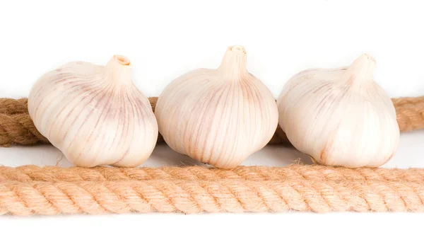Three bulbs of garlic near the rope — Stock Photo, Image