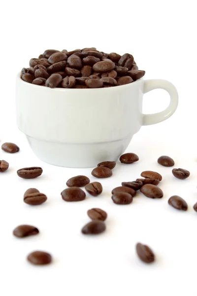 Kaffeebohnen-Tasse — Stockfoto
