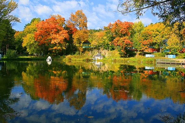 stock image Autumn Foliage