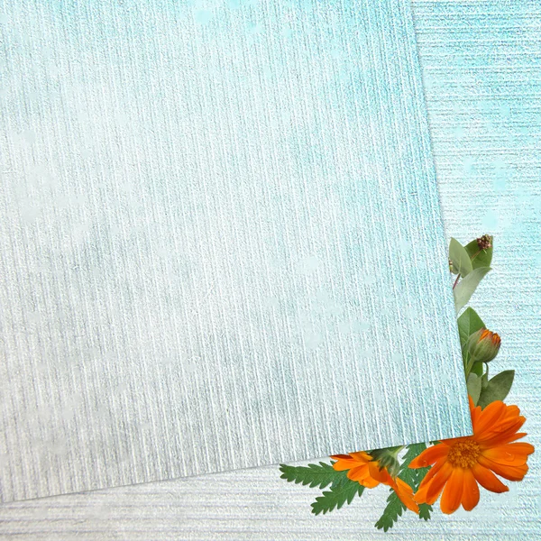 Modré pozadí s květinami — Stock fotografie