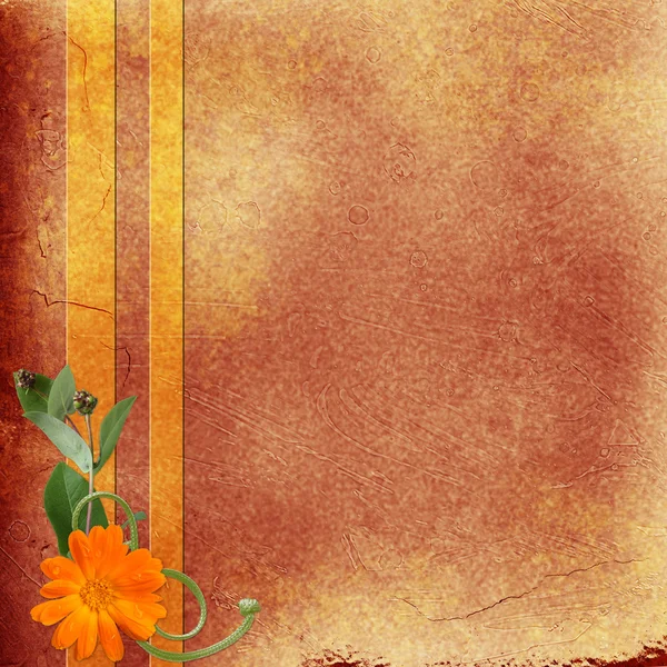 Bruine achtergrond met bloemen — Stockfoto