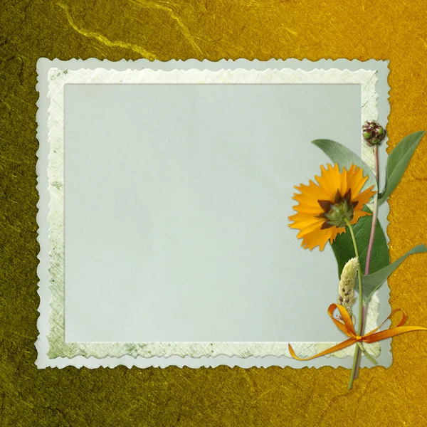 Old background with frame and flowers — Stock Photo, Image