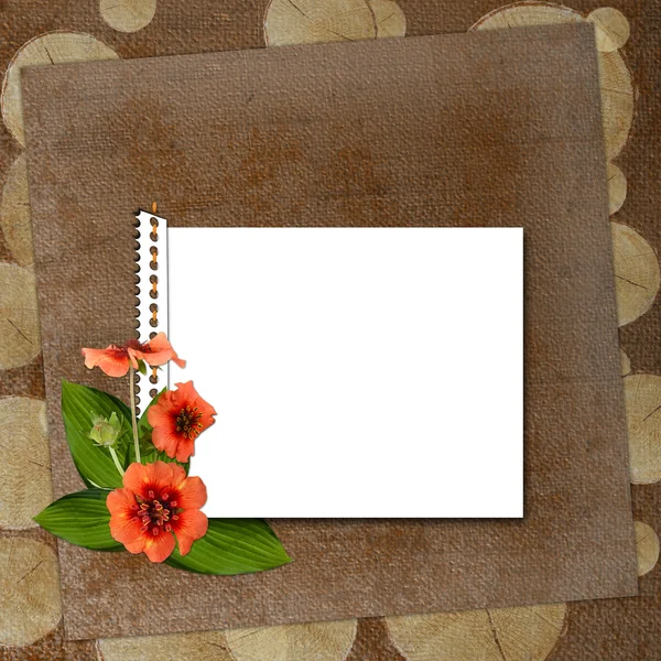 Çerçeveli ve çiçekli arkaplan — Stok fotoğraf