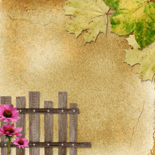 Bakgrund med staket och blommor — Stockfoto