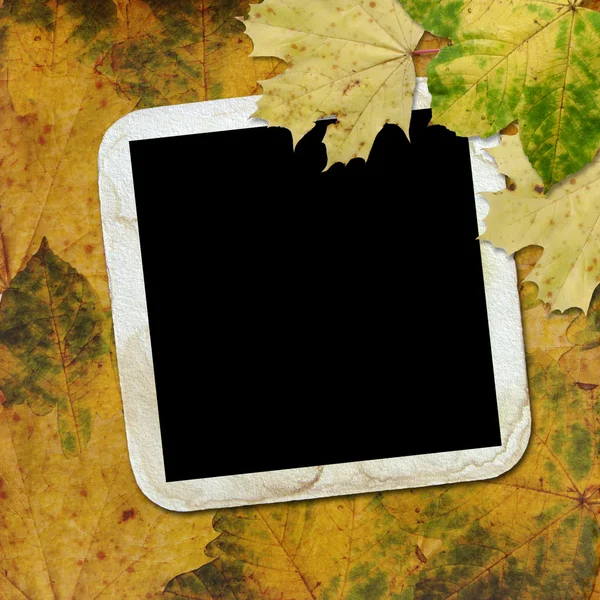 Höstens bakgrund med ram — Stockfoto