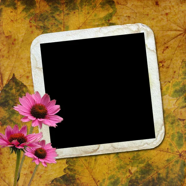 Autumn background with frame and flowers — Stock Photo, Image