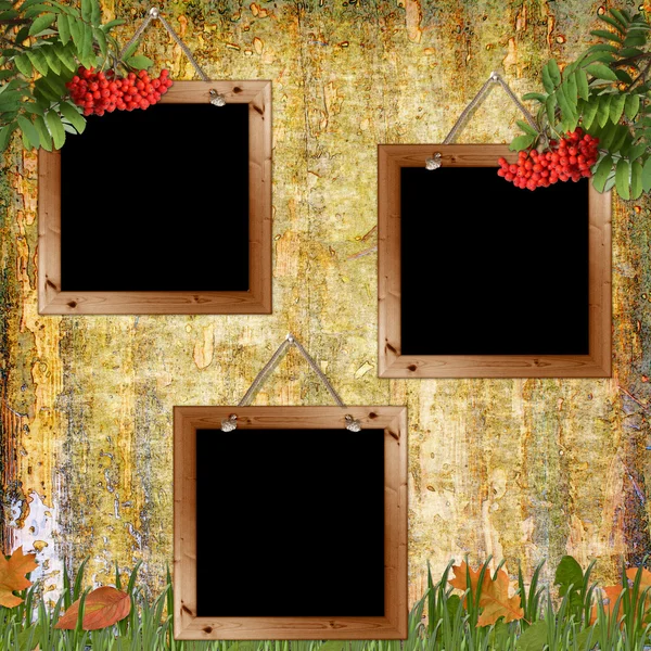 Wood grungy background with frames — Stock Photo, Image