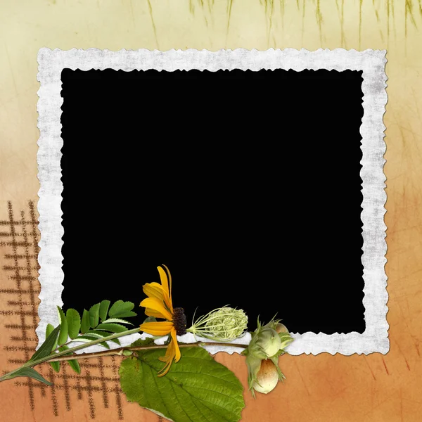 有框架和花朵的背景 — 图库照片
