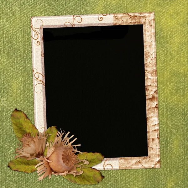 Background with frame — Stock Photo, Image