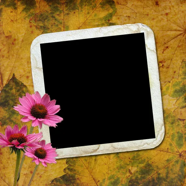 Fondo de otoño con marco y flores — Foto de Stock
