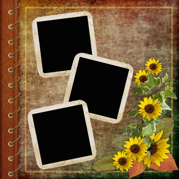 Album cover with frame and flowers — Stock Photo, Image