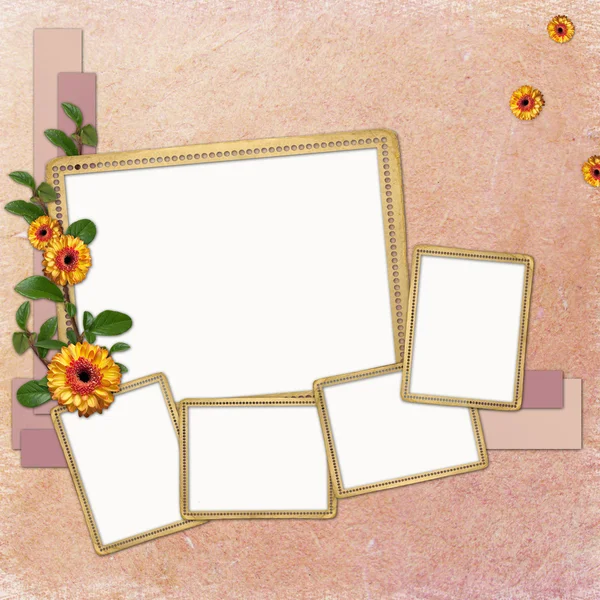 Background with frames and flowers — Stock Photo, Image