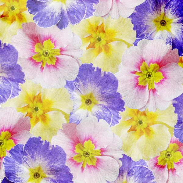 Grunge fondo floral —  Fotos de Stock