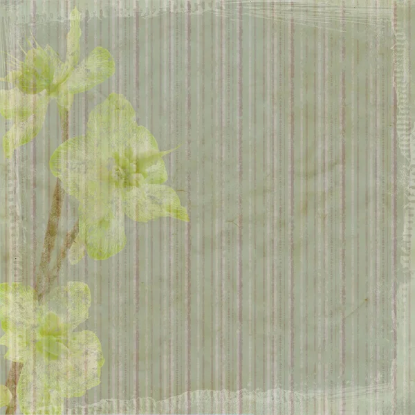 レトロな緑色の縞模様の背景 — ストック写真