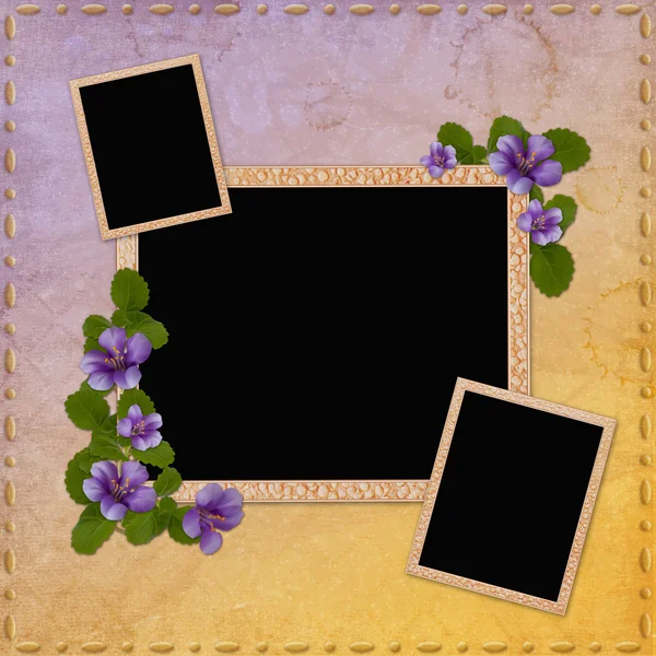 Summer background with frames and flowers — Stock Photo, Image