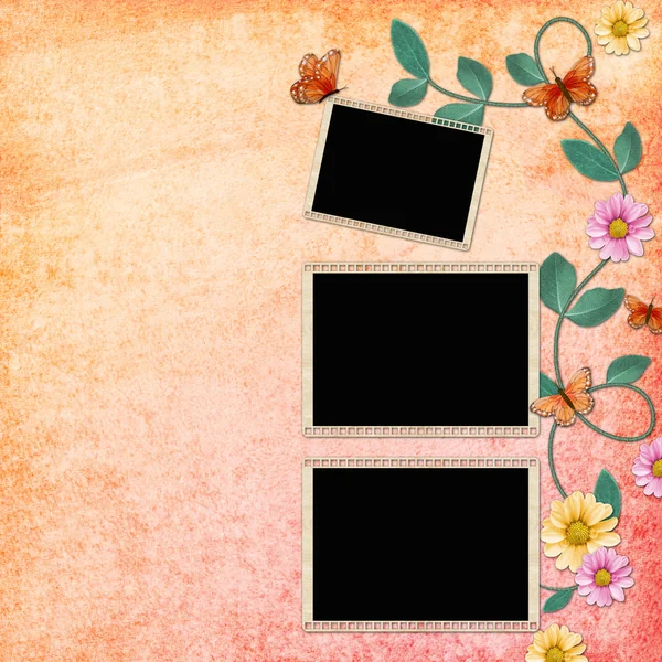 Summer background with frames — Stock Photo, Image