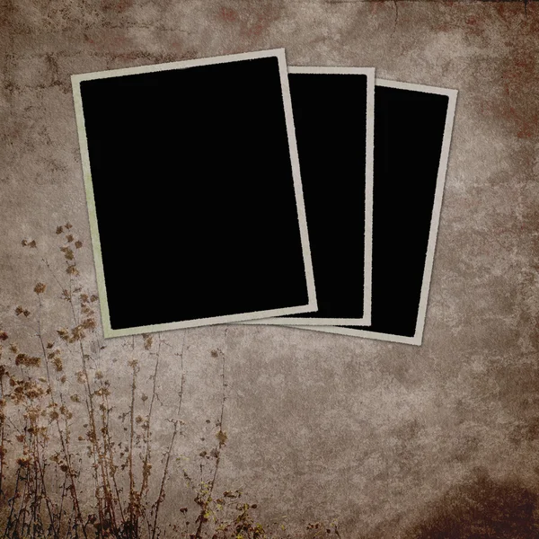 Vintage background with frames — Stock Photo, Image