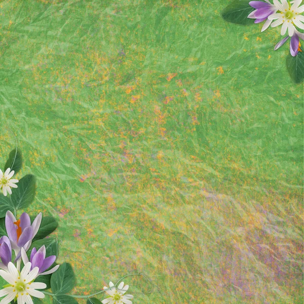 Çiçekli bahar arkaplanı — Stok fotoğraf