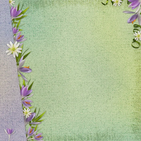 Весна фон с цветами — стоковое фото