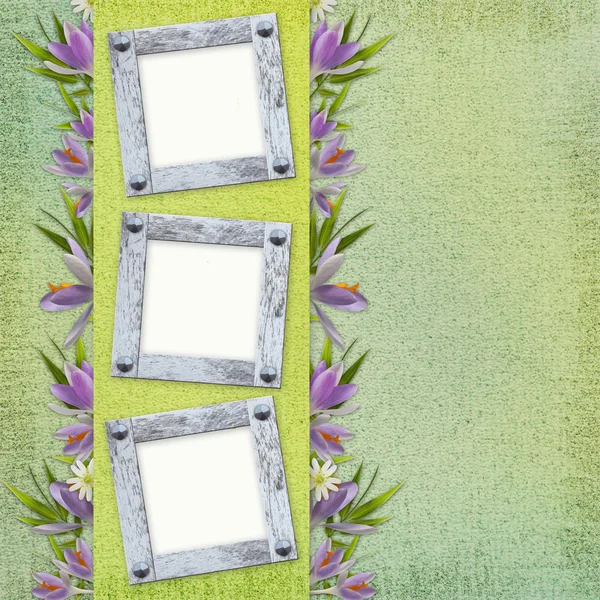 Spring background with frame — Stock Photo, Image