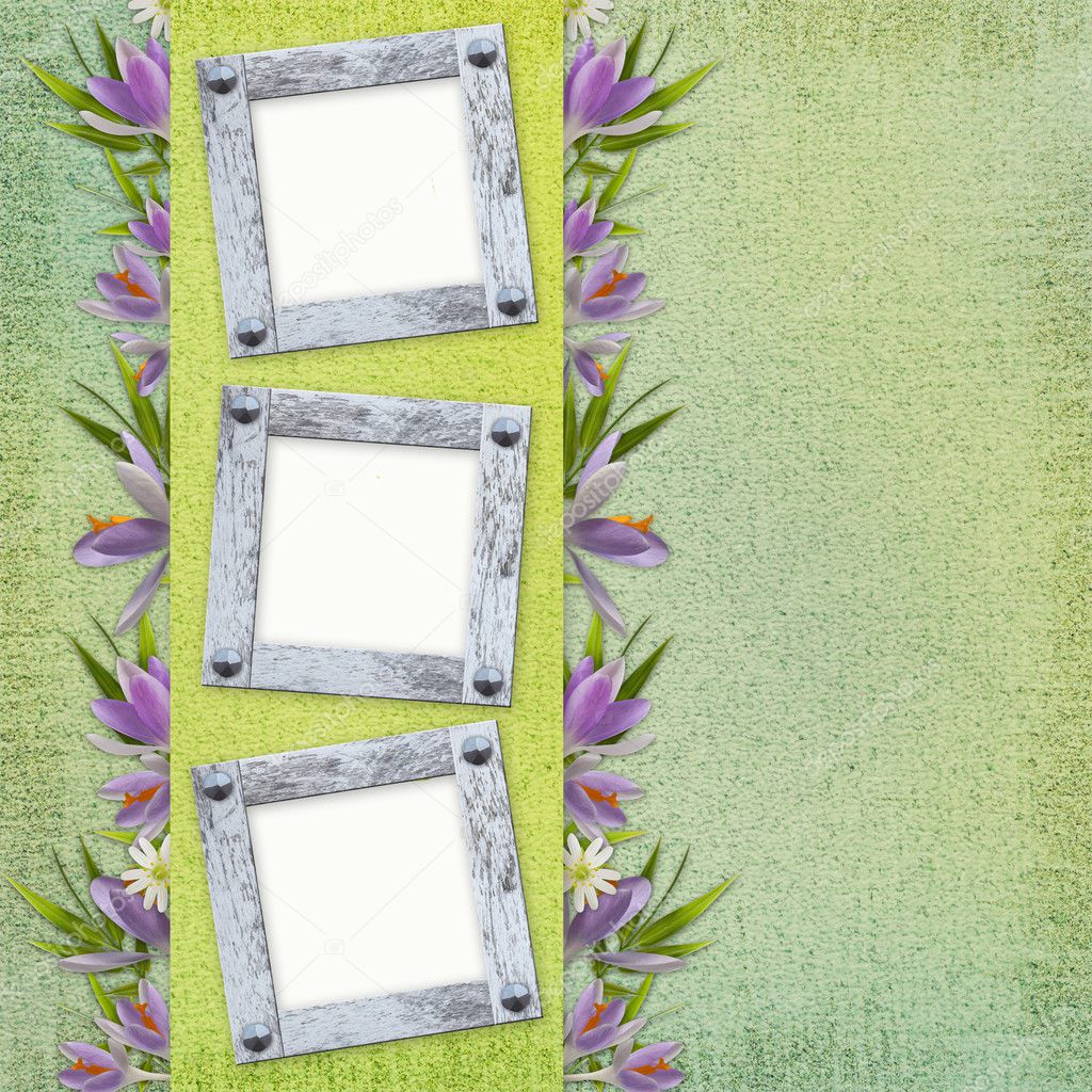 Spring background with frame