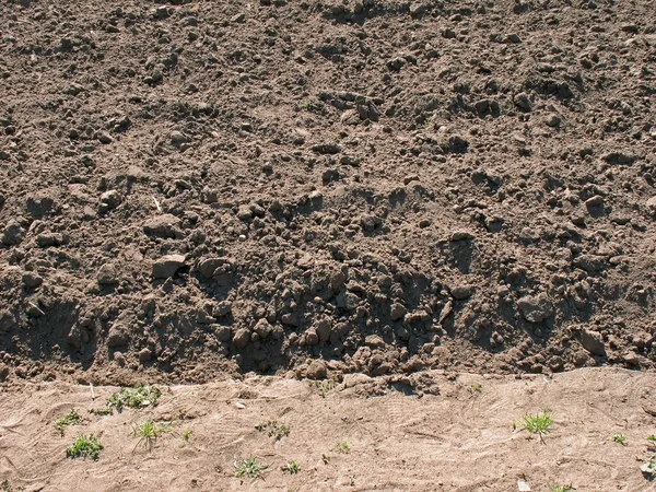 The dug up earth — Stock Photo, Image