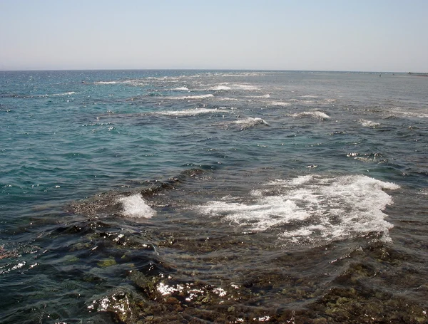 stock image Coastal coral reeves on Red sea