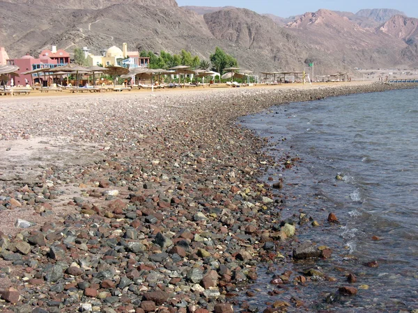 Каменное побережье Красного моря, Египет — стоковое фото