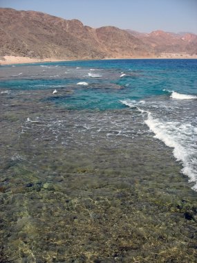 Sahil red sea, Mısır