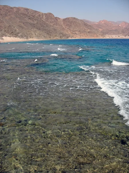 Coast of Red sea, Egypt — Stock Photo, Image