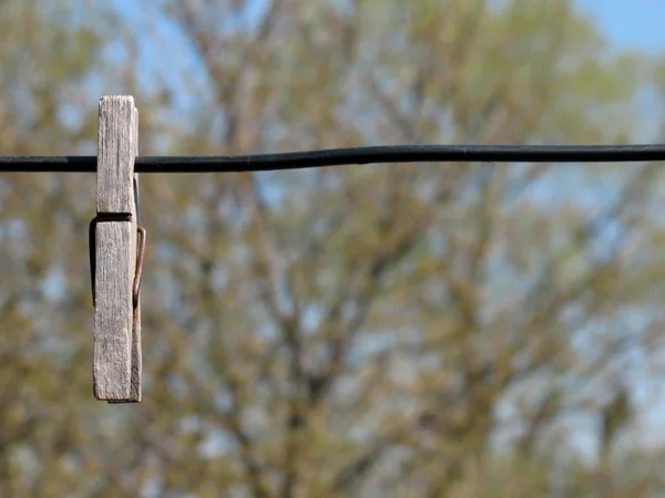 Лен-шнур и старая деревянная прищепка — стоковое фото