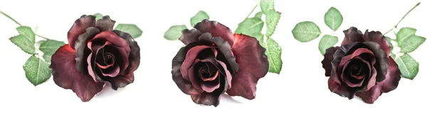 Conjunto de tres hermosas rosas — Foto de Stock