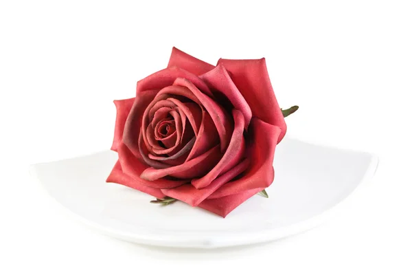 Nádherná růže na bílé desce — Stock fotografie
