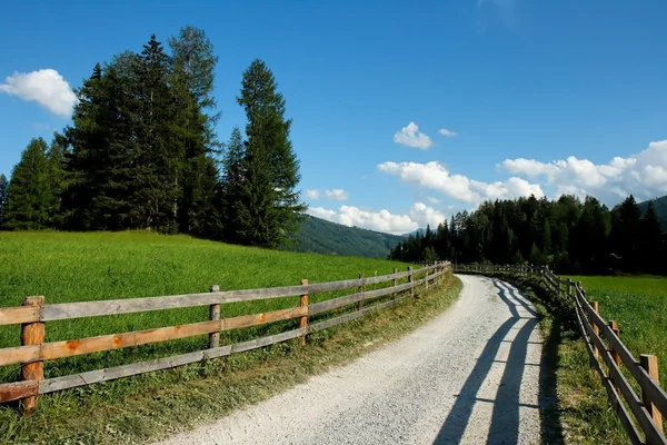 stock image Beautiful alpine countryside road