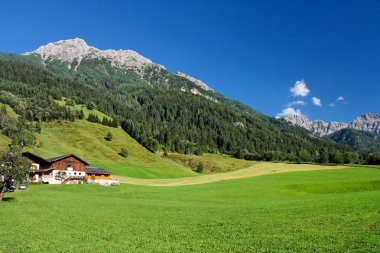 Alpine landscape in Austria clipart