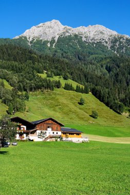 Alpine chalets, meadows and mountains clipart