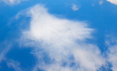 Cloud in shape of phoenix bird clipart